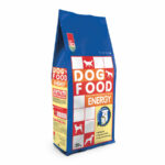 Energy Supporto Energetico