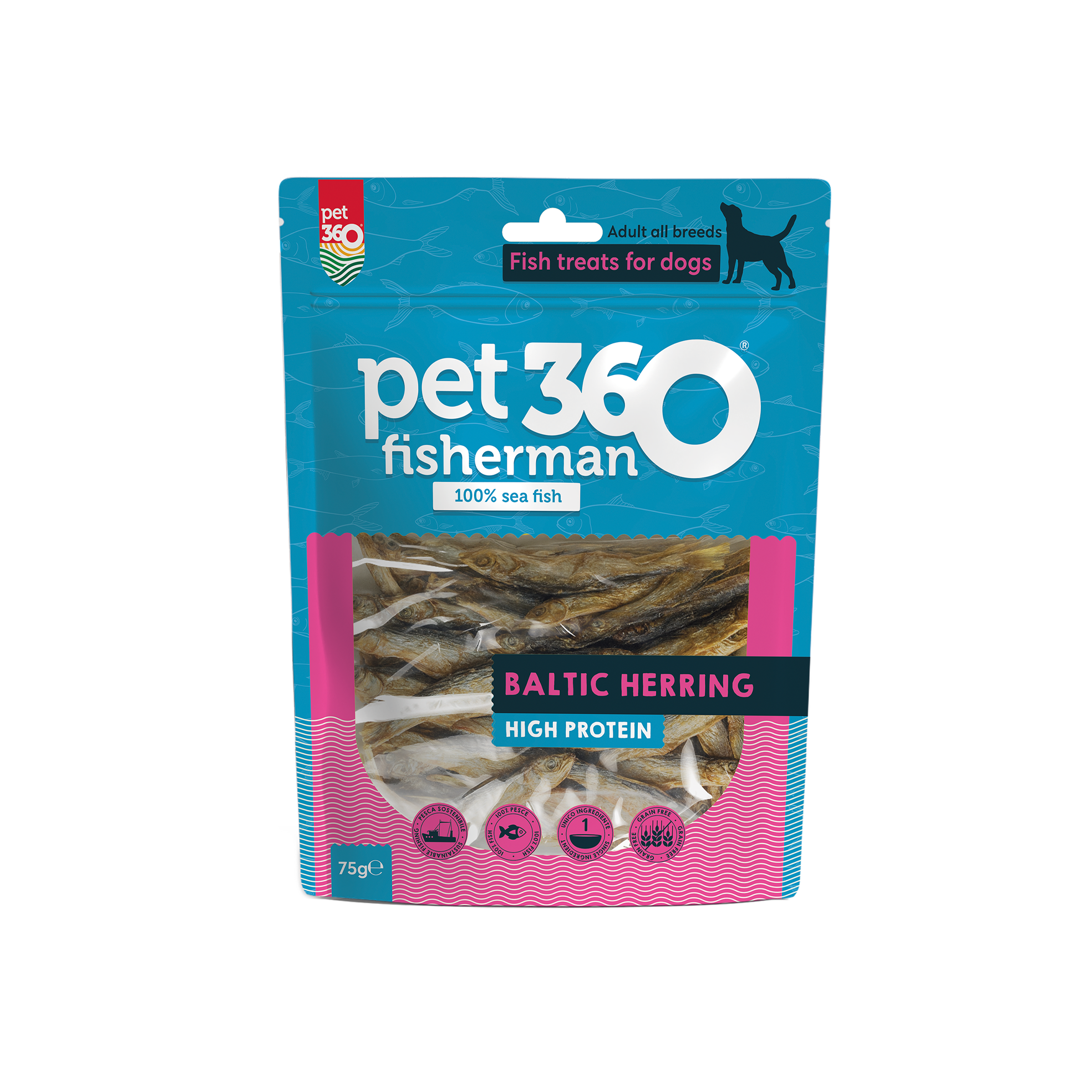 Baltic Herring